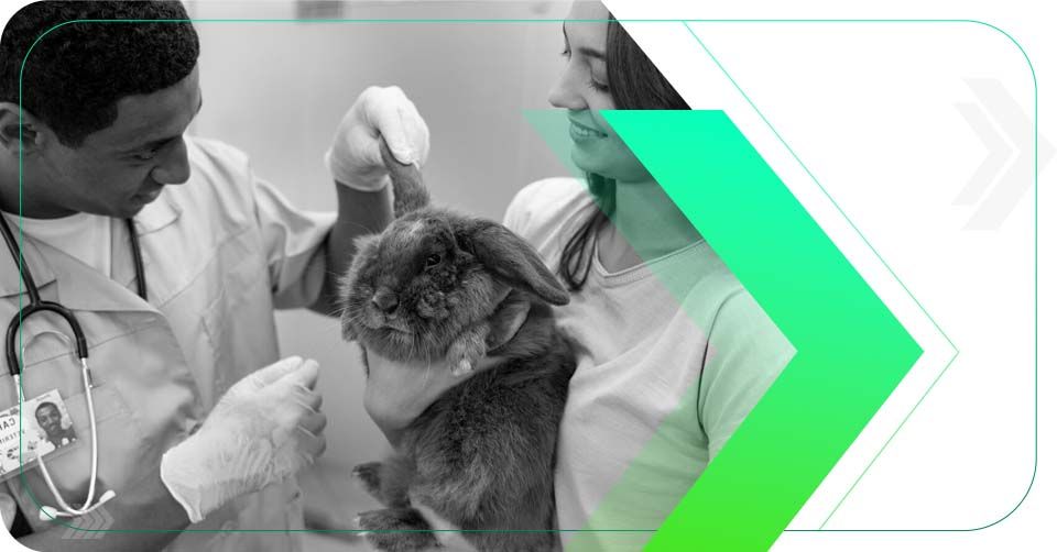 O Futuro dos Cuidados Veterinários: Conectando com Donos de Pets no Mundo Digital