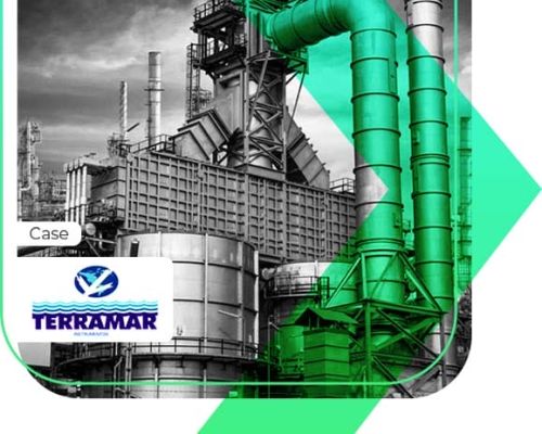 Como a Terramar Instrumentos teve aumento de 250% em vendas com Tráfego Pago