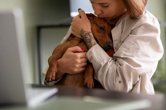 adoção de pets e divulgação com marketing digital para clínicas veterinárias